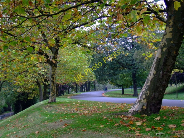 Photo 6"x4" Kelvingrove Park Glasgow c2010
