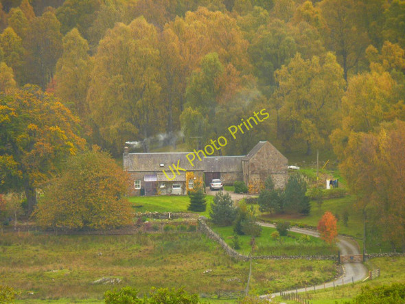 Photo 6"x4" Early autumn Bruar c2010
