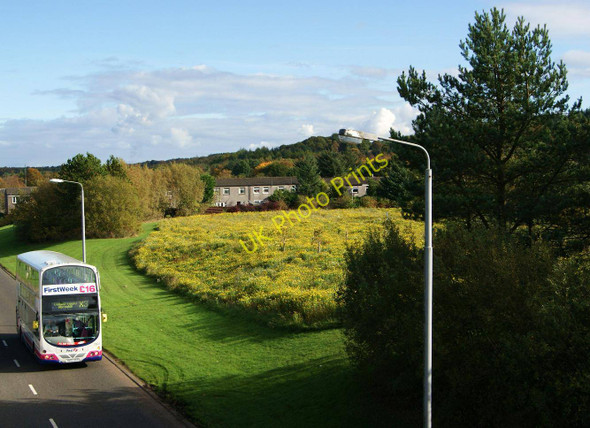 Photo 6"x4" Wildflowers, Moss Road Cumbernauld c2010