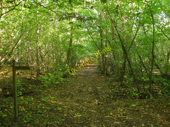 Photo 6"x4" Footpath Junction, Tortington Common Arundel c2010