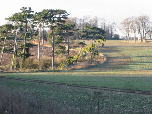 Photo 6"x4" View to Singledge Lane Coldred c2007