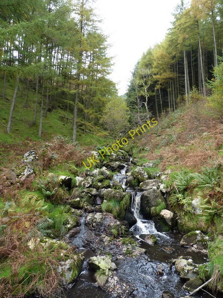 Photo 6"x4" Upstream on the Nant y Graig-wen Aber-Cywarch c2010