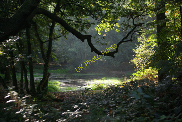 Photo 6"x4" Pond on Rushey Plain Loughton\/TQ4396 c2010