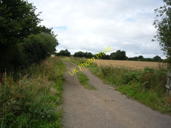 Photo 6"x4" Along Hagg Lane Youlton c2010