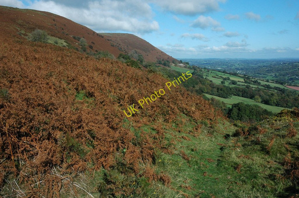 Photo 6"x4" Eastern slopes of Hatterrall Hill Groes-lwyd\/SO3222 c2010