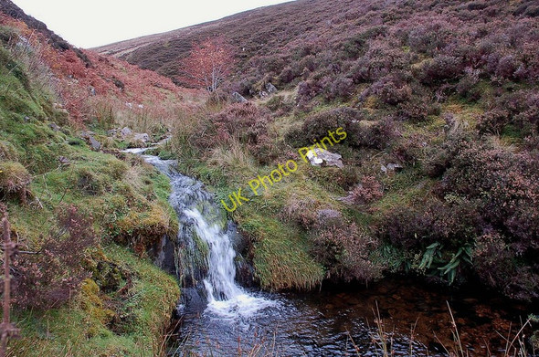 Photo 6"x4" A Border burn, Worms Cleuch Langhaugh\/NT2031 c2010