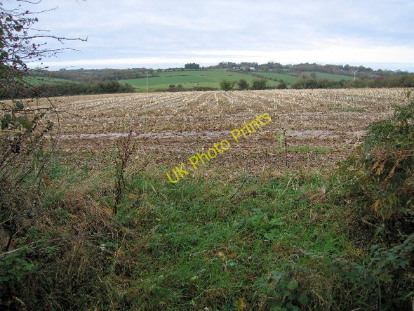 Photo 6"x4" Field of stubble Riverstick c2010