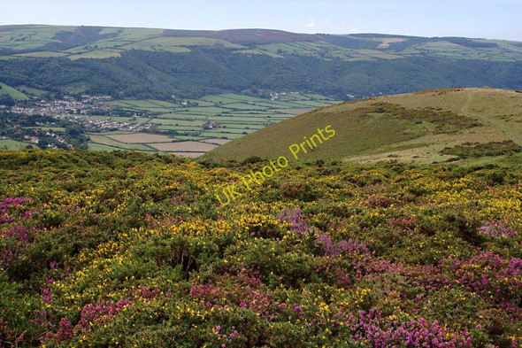 Photo 6"x4" On Bossington Hill Allerford\/SS9047 c2010
