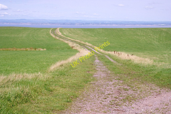 Photo 6"x4" Farm Track through Grassland Allerford\/SS9047 c2010