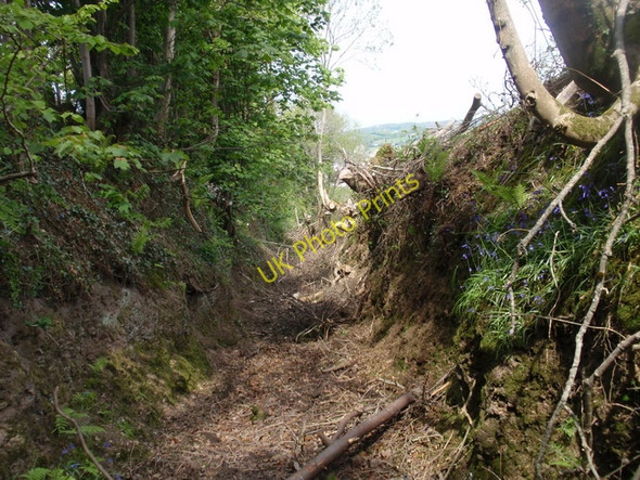 Photo 6"x4" Ceuffordd Coed Mawr \/ Coed Mawr hollow way Pentre\/SN5010 c2010