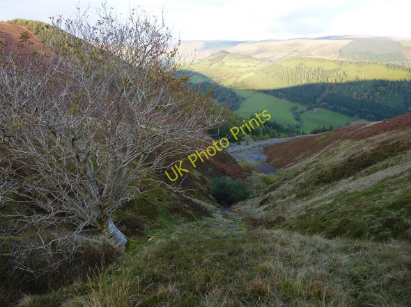 Photo 6"x4" Steeply down to the former slate quarry Dinas-Mawddwy c2010