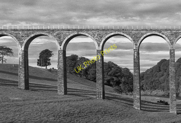 Photo 6"x4" Trees through Arches Newstead\/NT5634 c2010