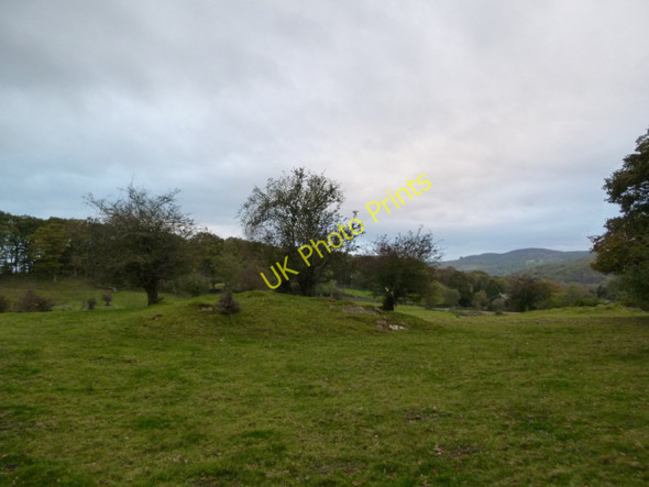 Photo 6"x4" Rough grazing south of Winster Church Winster\/SD4193 c2010