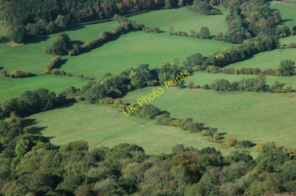 Photo 6"x4" Fields in the Vale of Ewyas Cwmyoy c2010