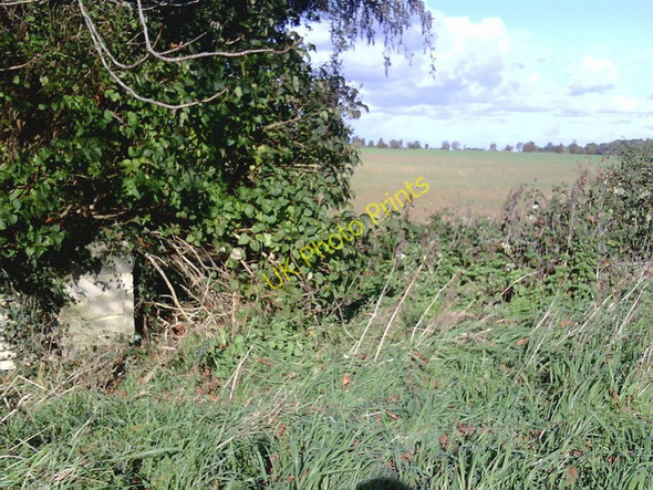 Photo 6"x4" Arable field and angle of wall at edge of wood enclosing St Hugh's School Carswell Marsh c2010