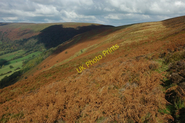 Photo 6"x4" On Hatterrall Hill Cwmyoy c2010
