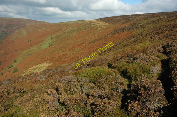 Photo 6"x4" Hatterrall Hill Cwmyoy c2010