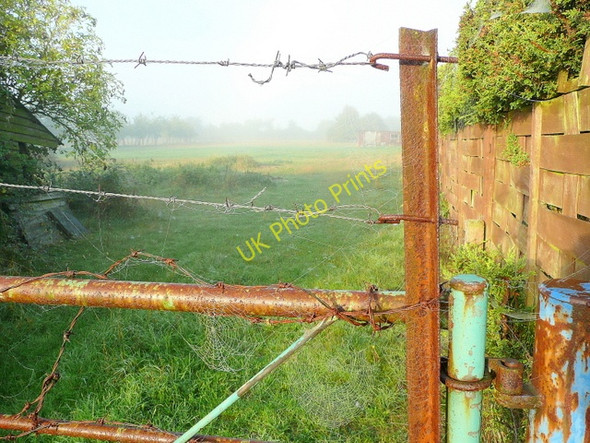 Photo 6"x4" Misty field entrance Down Hatherley c2010