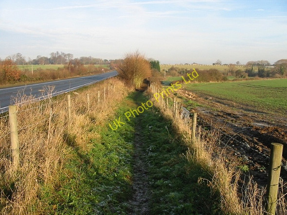 Photo 6"x4" View along bridleway on E side of A256 Statenborough c2007