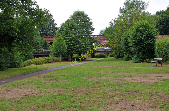 Photo 6"x4" River Mole Local Nature Reserve Leatherhead c2010