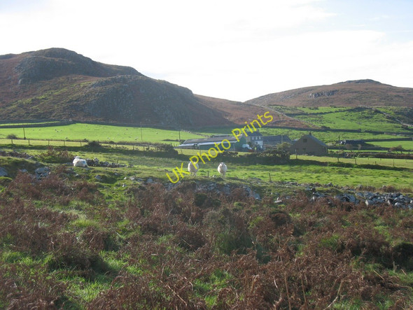 Photo 6"x4" Sheep on the old Mynydd Ty-gwyn quarry incline Pistyll\/SH3242 c2010