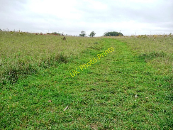 Photo 6"x4" Path through George Henry Wood Clipsham c2010