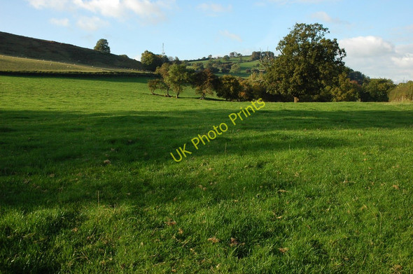 Photo 6"x4" Field above Pandy Crossways\/SO3220 c2010