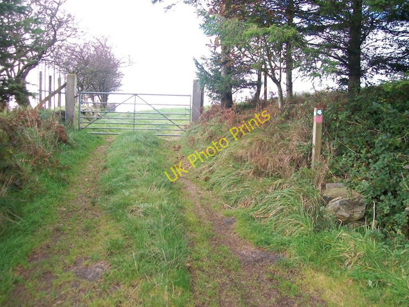 Photo 6"x4" The untarred continuation of the Gwynus Byway Llithfaen c2010