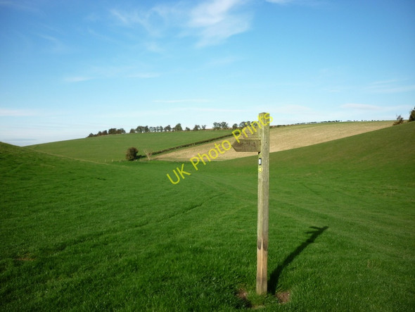 Photo 6"x4" A finger post in Swin Dale High Hunsley c2010