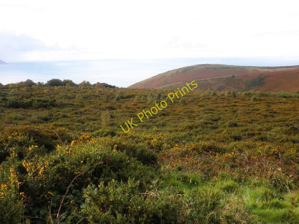 Photo 6"x4" Bossington Hill Allerford\/SS9047 c2010