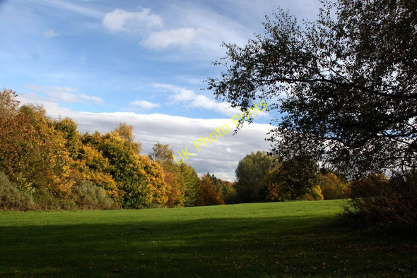 Photo 6"x4" Autumn colour in Ecclesall Woods Dore\/SK3181 c2010