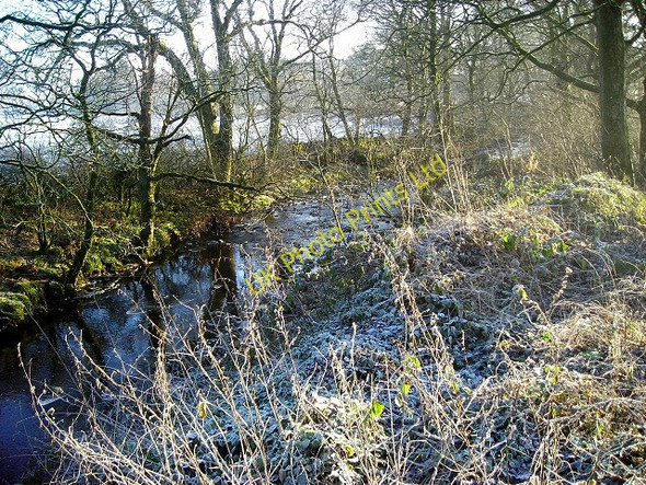Photo 6"x4" Old Water Near Shawhead Shawhead\/NX8775 c2007