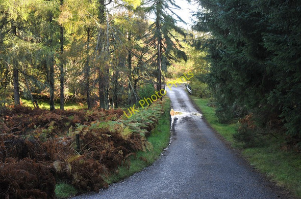 Photo 6"x4" Minor road near Rumachroy Highland Boath c2010
