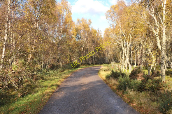 Photo 6"x4" Minor road near Dulsie Ferness c2010 P2