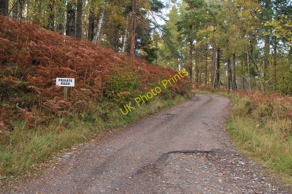 Photo 6"x4" Private road near Drumore Ferness c2010