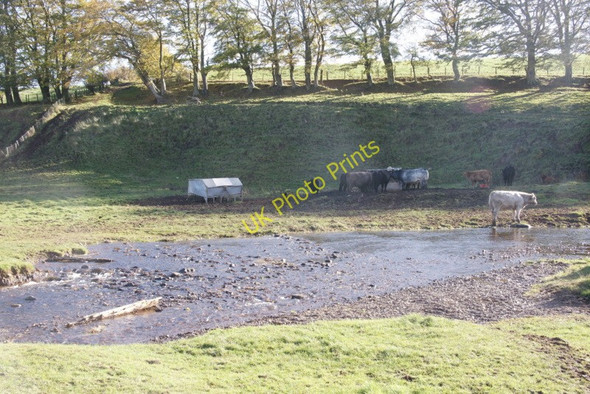 Photo 6"x4" Ford on the Glencorse Burn Woodhouselee c2010