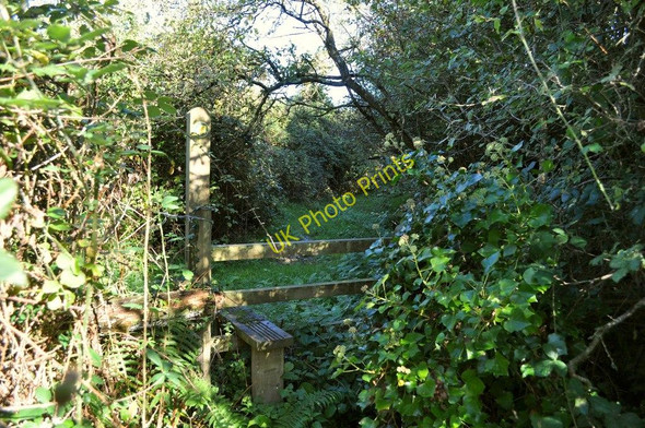 Photo 6"x4" A stile on the footpath to North Lobb near East Saunton Farm Lobb c2010