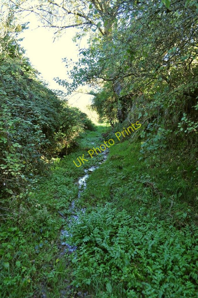 Photo 6"x4" A waterlogged footpath to North Lobb near East Saunton Farm Lobb c2010