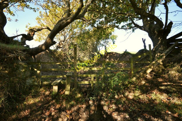 Photo 6"x4" A stile on the waterlogged footpath from Saunton to North Lobb Georgeham c2010