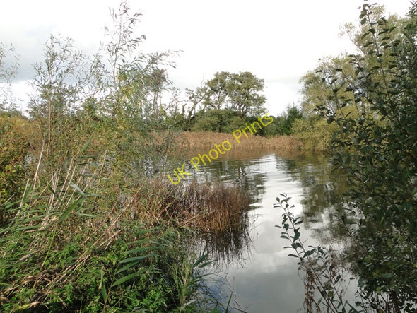 Photo 6"x4" River Waveney in Autumn sunshine Beccles c2010