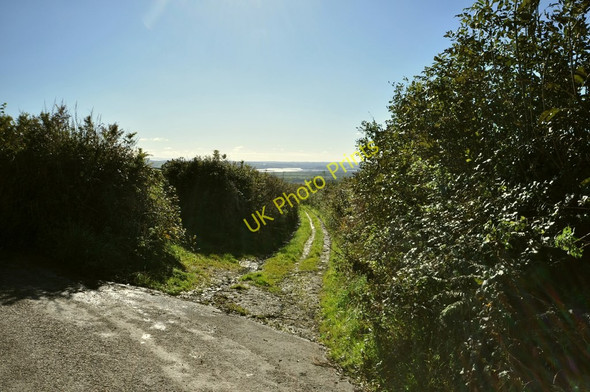 Photo 6"x4" Looking down the track to North Lobb Darracott\/SS4739 c2010