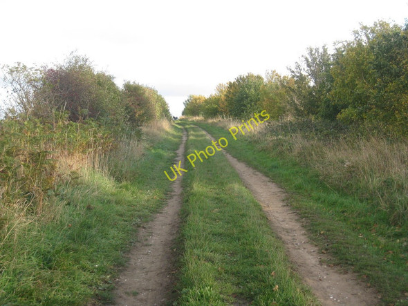 Photo 6"x4" National Cycle Route 1 Searby c2010