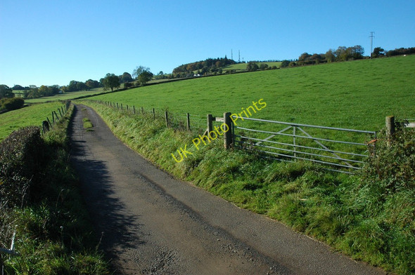 Photo 6"x4" Road to Penterry Farm Chapel Hill\/SO5200 c2010