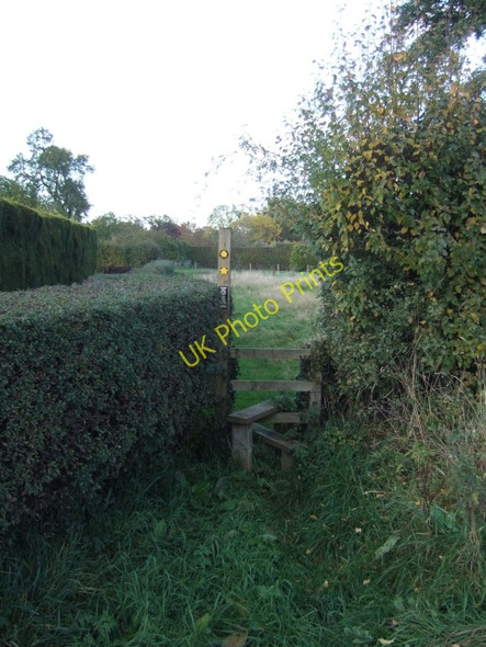 Photo 6"x4" On the Eddisbury Way Hoofield c2010