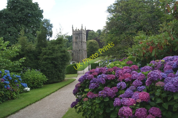 Photo 6"x4" The grounds of Lanhydrock House, Bodmin, Cornwall Cutmadoc c2010