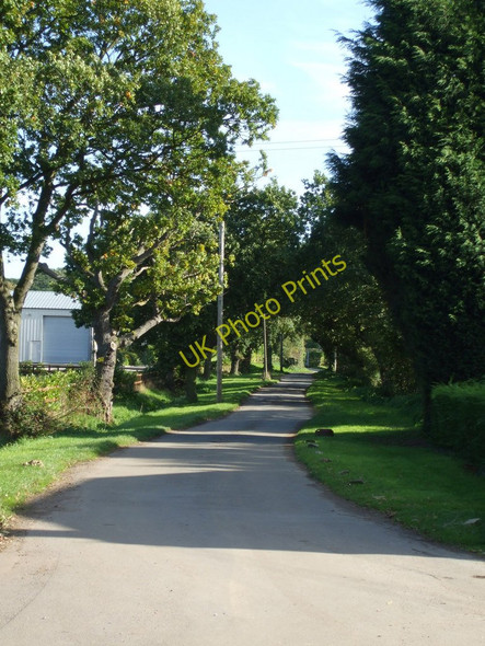 Photo 6"x4" Murrels Lane Mill Hill\/TQ8293 c2010