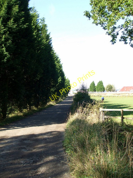 Photo 6"x4" Tree lined drive Mill Hill\/TQ8293 c2010