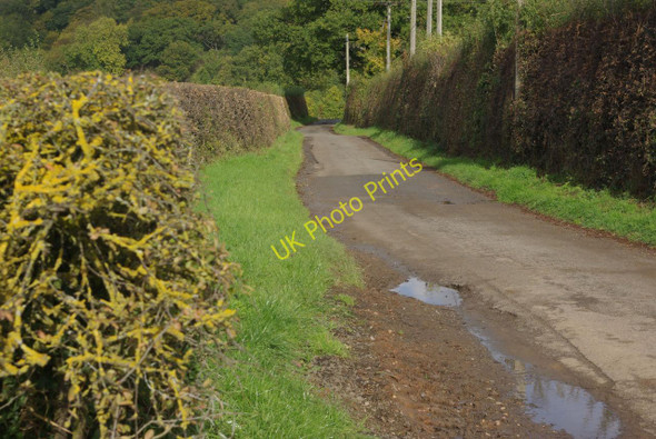 Photo 6"x4" Lane towards Round Hill New End\/SP1060 c2010