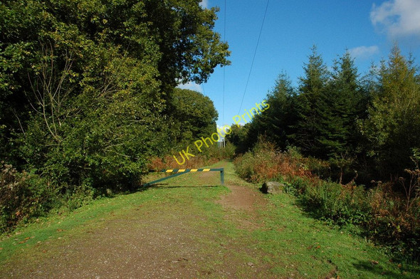 Photo 6"x4" Fedw Wood The Cot c2010