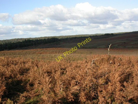 Photo 6"x4" Picket Hill Linford\/SU1806 c2010
